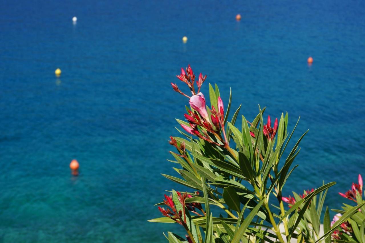 Studio Apartment Michelle - Intermezzo with sea view Rabac Esterno foto