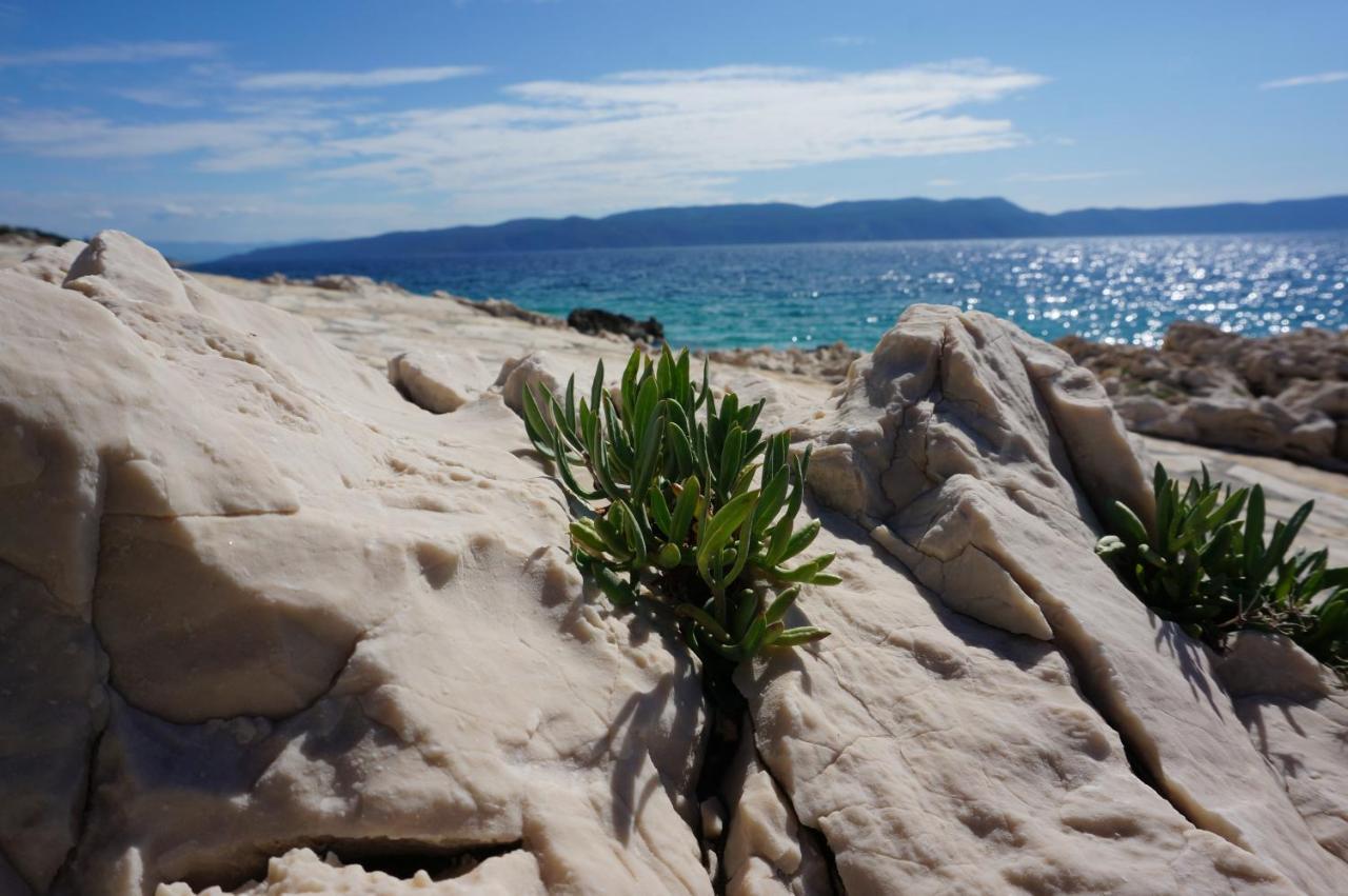 Studio Apartment Michelle - Intermezzo with sea view Rabac Esterno foto
