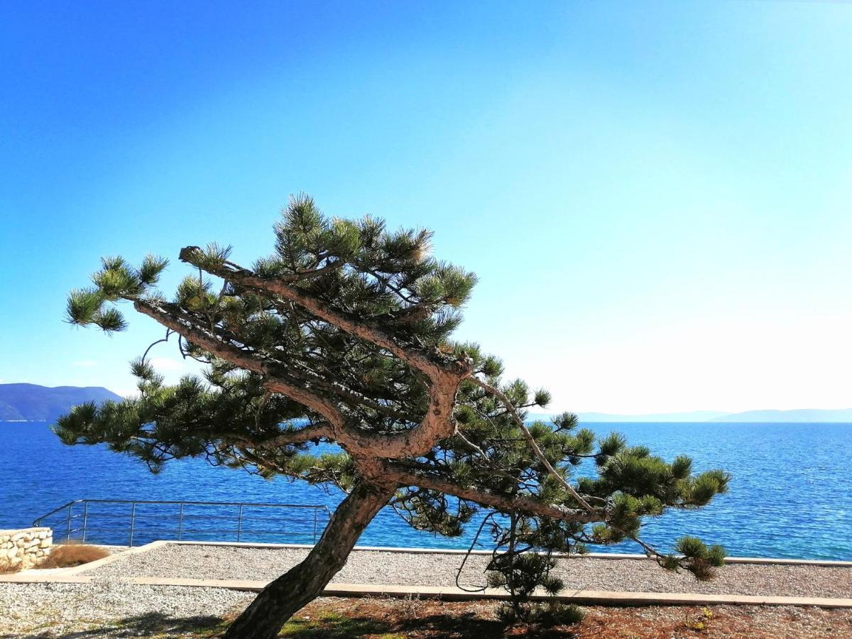 Studio Apartment Michelle - Intermezzo with sea view Rabac Esterno foto